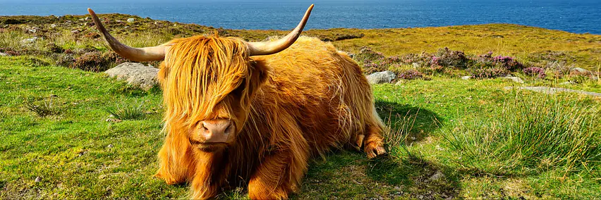 Schottland - Highlands & Highlights