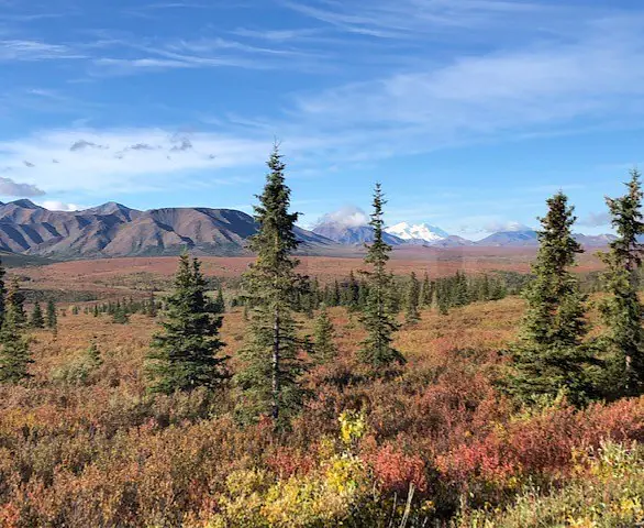 Mt Denali.jpg