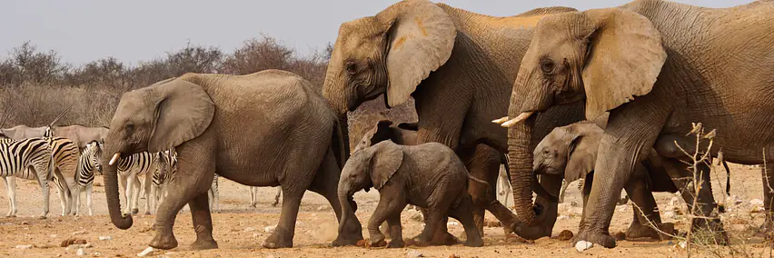 NAMIBIA UND BOTSWANA – EINE ENTDECKUNGSREISE