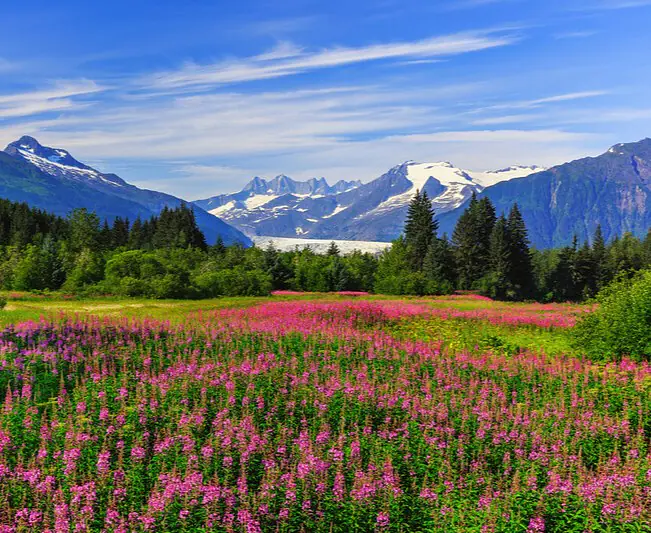Juneau_Cunard_GettyImages-498296158.jpg