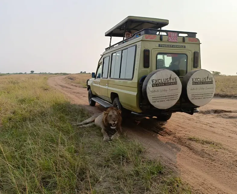 WhatsApp Image 2024-08-06 at 12.02.42_a177f7a9.jpg