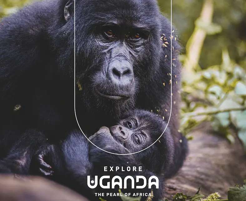 Gorilla small.png