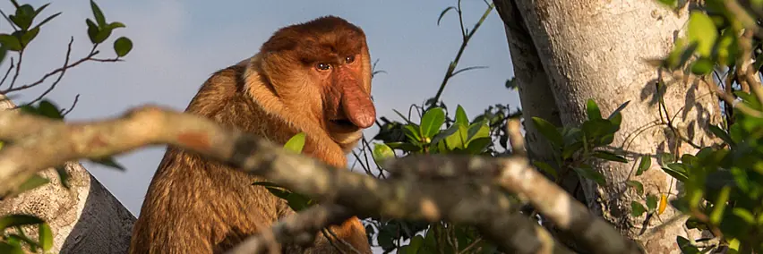 Malaysia - Schmelztiegel Asiens