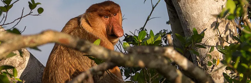 Malaysia - Schmelztiegel Asiens
