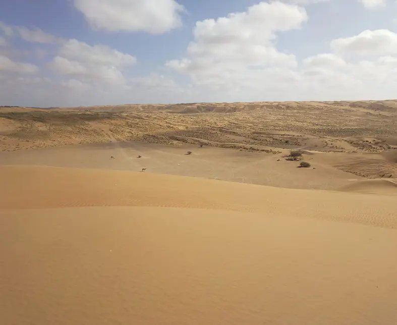 WhatsApp Image 2025-12-19 at 09.09.45.jpeg