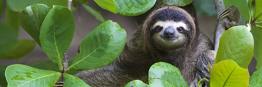 Costa Rica anders erleben – Nachhaltiger Luxus und Natur pur