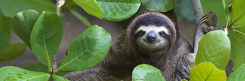 Costa Rica anders erleben – Nachhaltiger Luxus und Natur pur