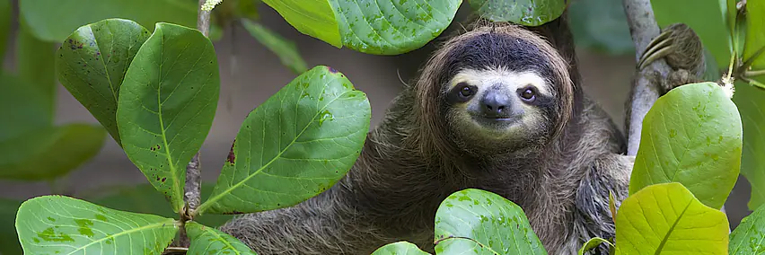 Costa Rica anders erleben – Nachhaltiger Luxus und Natur pur