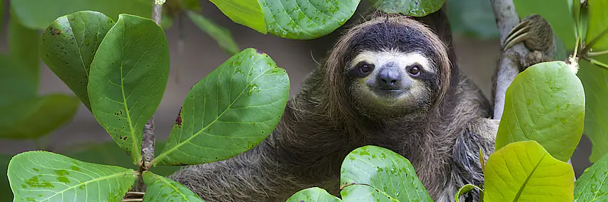 Costa Rica anders erleben – Nachhaltiger Luxus und Natur pur