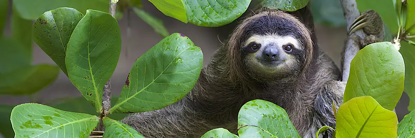 Costa Rica anders erleben – Nachhaltiger Luxus und Natur pur