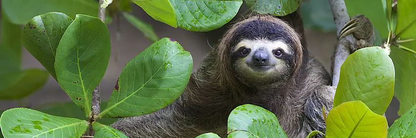 Costa Rica anders erleben – Nachhaltiger Luxus und Natur pur