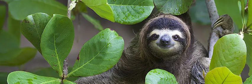 Costa Rica anders erleben – Nachhaltiger Luxus und Natur pur