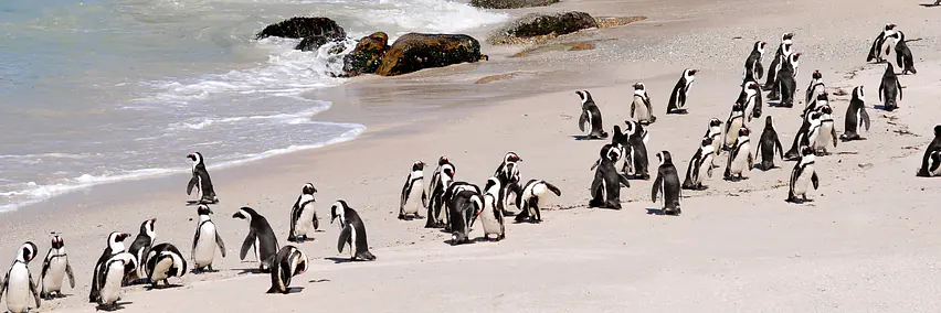 Vortrag: Safari mit Kindern - Halle 6, Raum K1