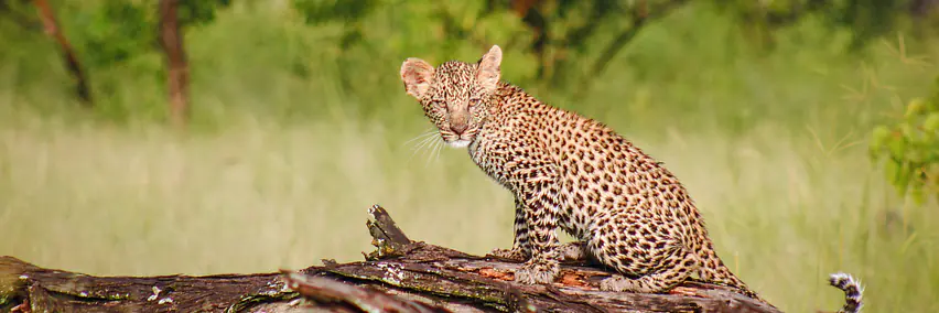 Vortrag: Botswana - Halle 6, Raum K1