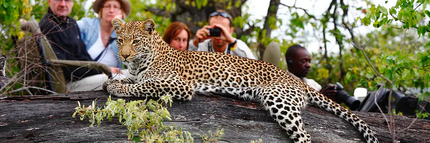 Vortrag: Südafrika - Halle 6, Raum K1