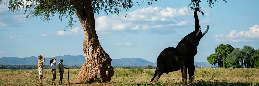 Vortrag: Zimbabwe - Halle 6, Raum K1