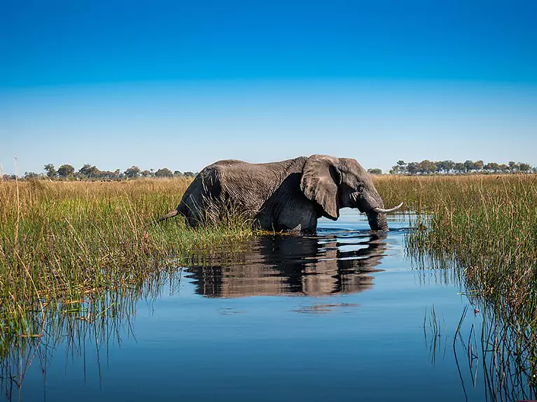Botswana vom Fernreise-Spezialisten