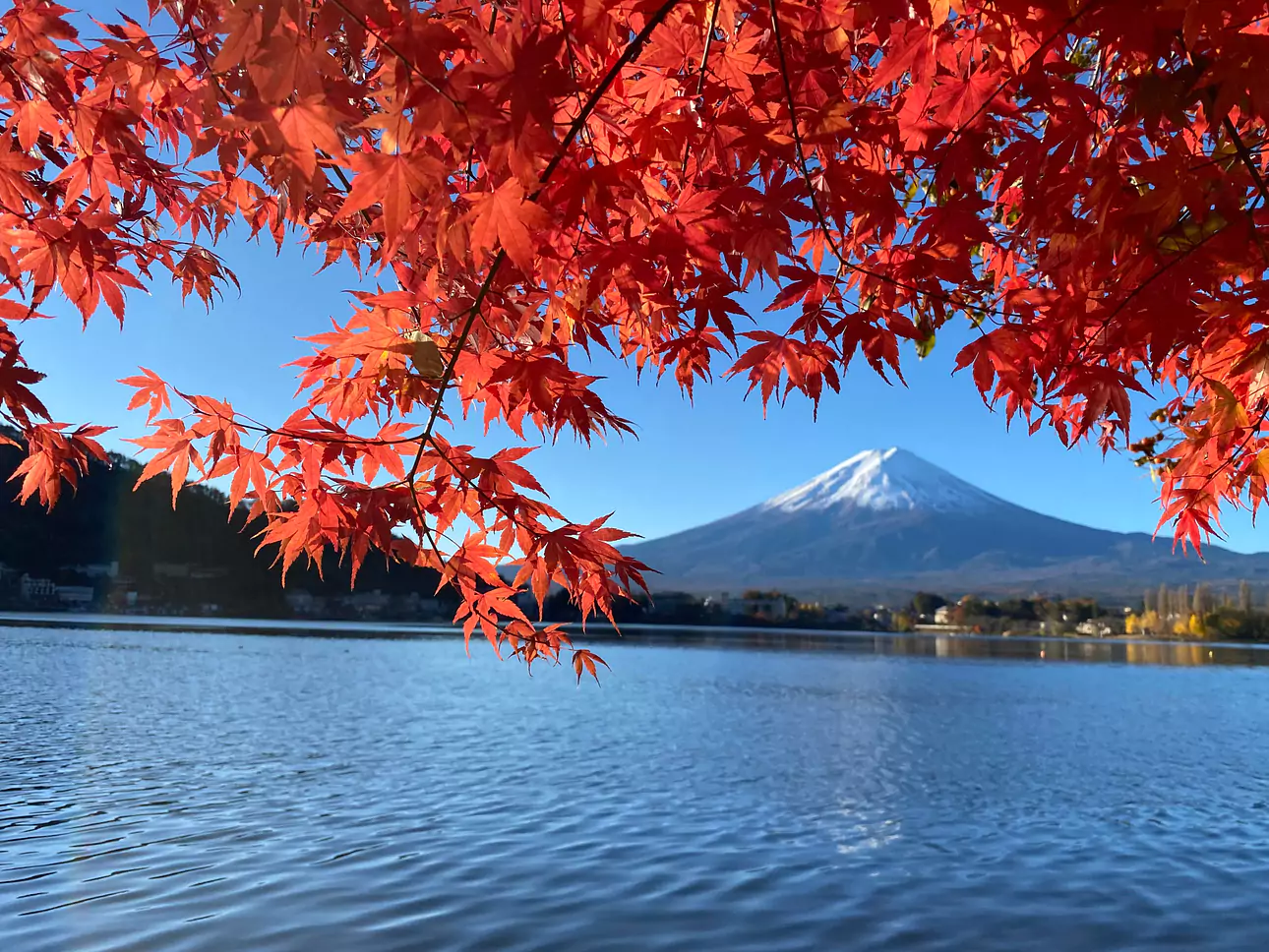 Entdecken Sie das Beste Japans in 2 Wochen